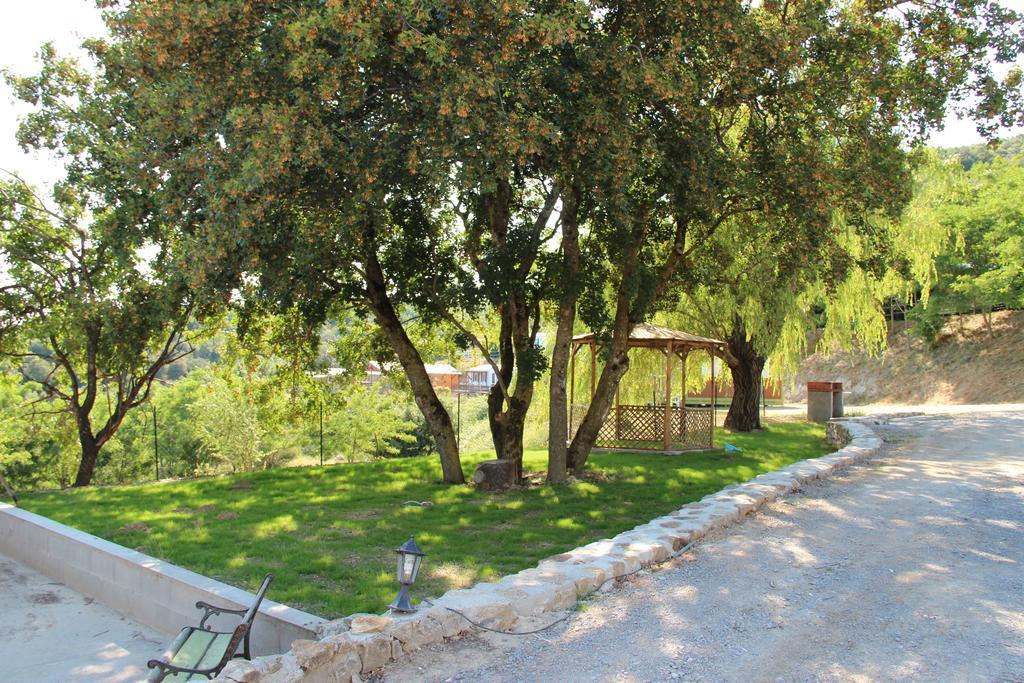 Domaine Plein Sud 호텔 Bruzac 외부 사진